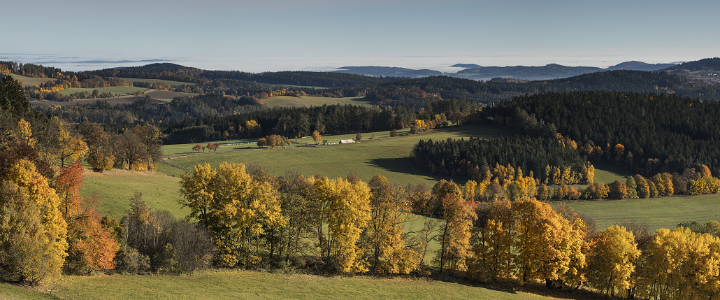 Barevná fotografie / Šumava 2020 / Nr.239